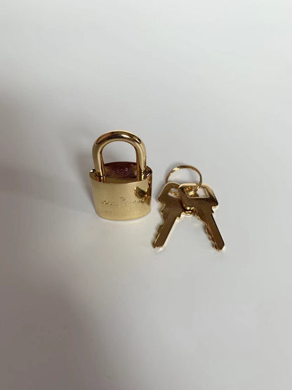 Fashion Gold LV Metal Locks For Handmade Goods